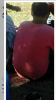 Screenshot_2016-09-05-20-48-48.png