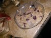 IMG_20170304_144928.jpg