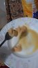 IMG_20170630_211642.jpg