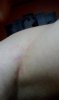 IMG_20170910_191730.jpg