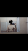 Screenshot_2018-01-24-22-40-30.png