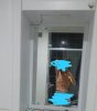 WhatsApp Image 2018-04-11 at 22.23.28.jpeg