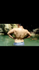 Screenshot_20180910-184210.png