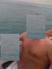 4604_88079063062_691098062_1997428_8108684_n.jpg
