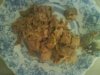 DSC00404.jpg