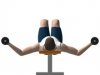 dumbbell_fly_end.jpg