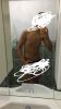 6FC1BA78-ECCA-4C3C-905C-41E97417AA6C.jpeg