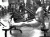 triceps bench dips.gif
