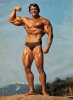 Arnold-Schwarzenegger-Governator-speed-cameras.jpg