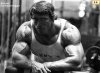 arnold-schwarzenegger-20051030-81109.jpg