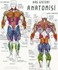 kas_anatomisi_tablo.jpg