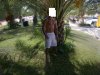 30062010178.jpg