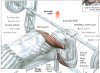 body (52).JPG