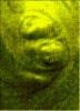 garipresim.jpg