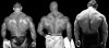 back-muscles[1].jpg