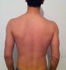 body5.jpg