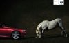 reklam0902200678eg.jpg