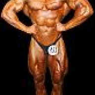 bodychampion