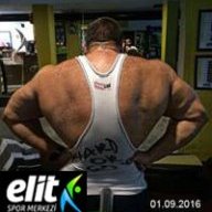 FleXoR