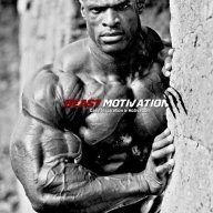 Center Of Muscle