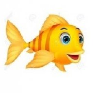 shark*
