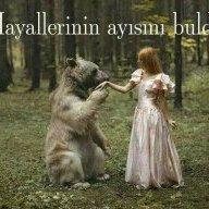bayan x