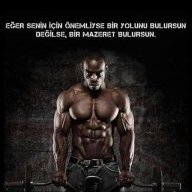 PerfectAntreman