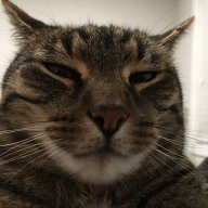 sfemnksbk3