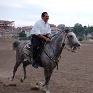 ishak harbi
