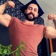 Powerfulbully