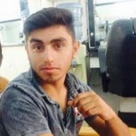 mehmet yarkan