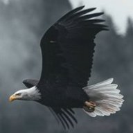 kartal gürtan