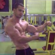mr. fantasy
