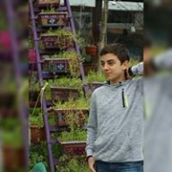Barisg07