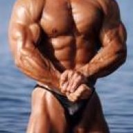 stallone13