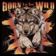 BornToBeWild