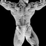 XxBody