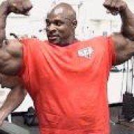 arnoldd