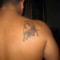 BULL
