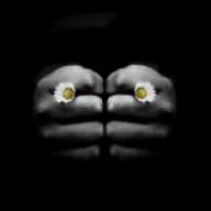 çakebey77