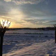 kursad_75