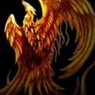 Gallant_Boy