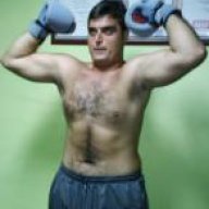 Turkısh Bull