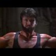 acı yok rocky