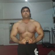 bolat744