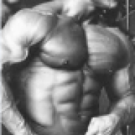 BODYBULDER
