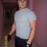 pitbul