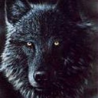 blackwolf