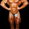 bodychampion