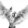 Mehmet7